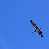 Costa Rica20150401-2237-0752